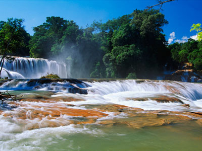 Cascadas de Agua Azul