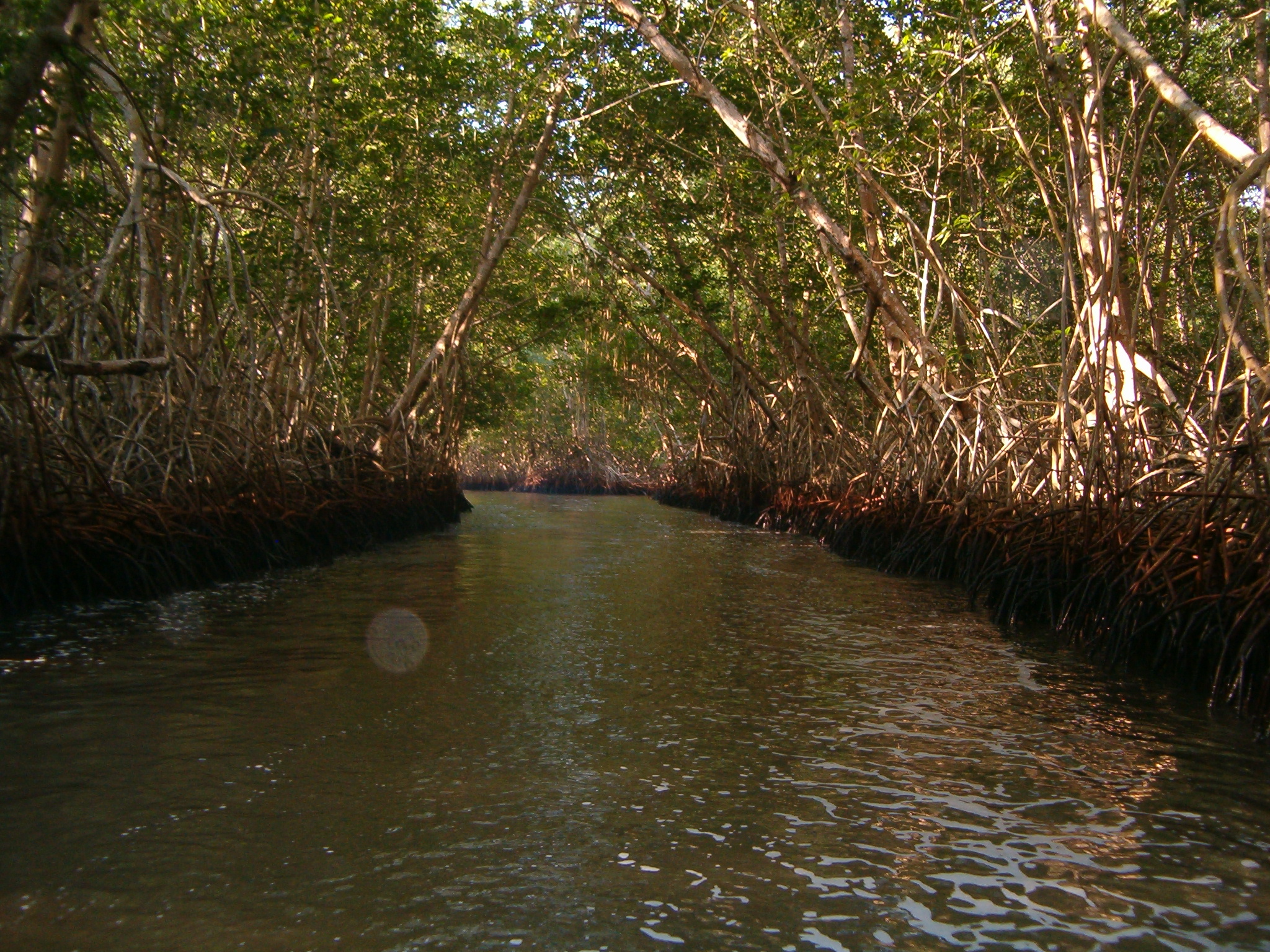 Región costa del Estado (reserva ecoturística