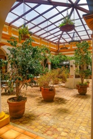 Efecto Chiapas