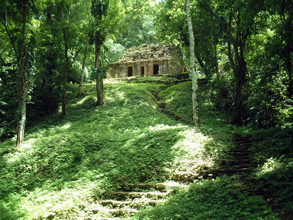 Efecto Chiapas